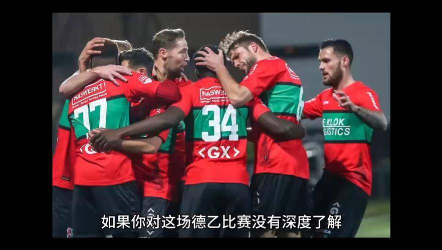 汉诺威96主场失利，降级危机加深